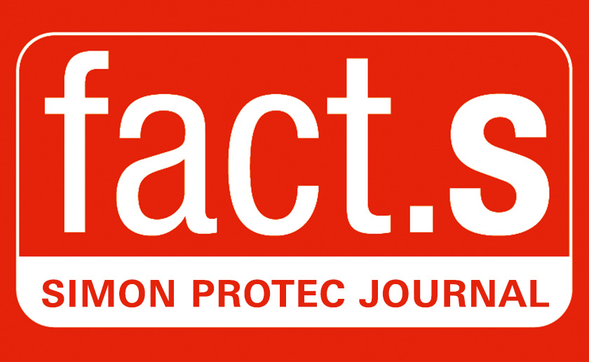 Direct support by TeamViewer